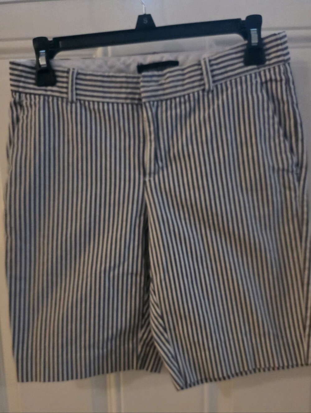Banana Republic Blue and White Striped Shorts